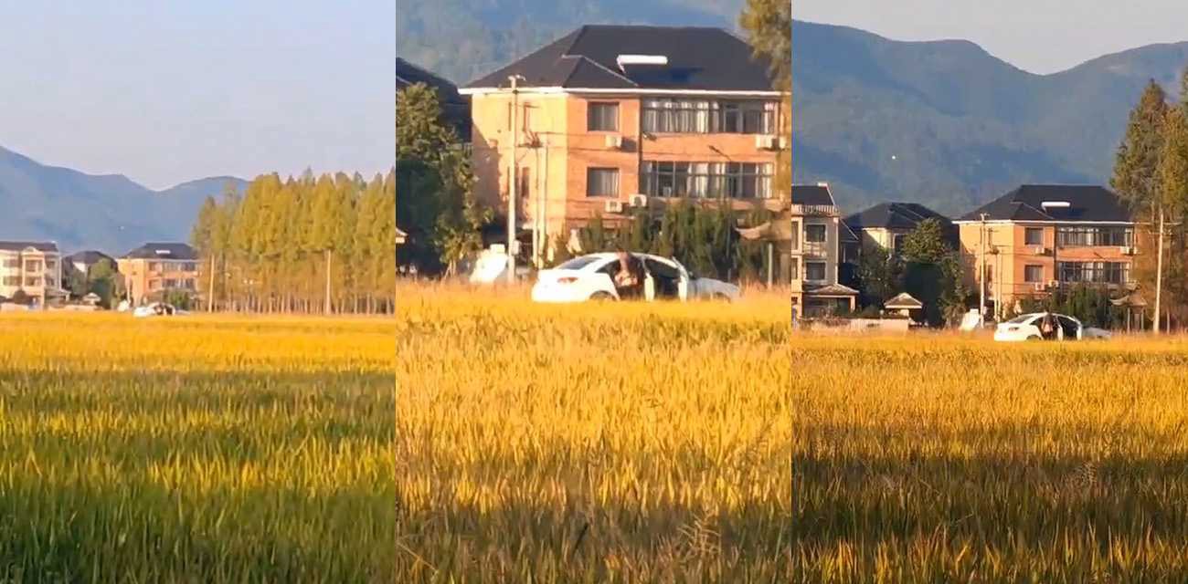 情侣户外野战遭偷拍 事实证明有一台摄像头清晰的手机是多么重要 几公里开外的野战清晰可见