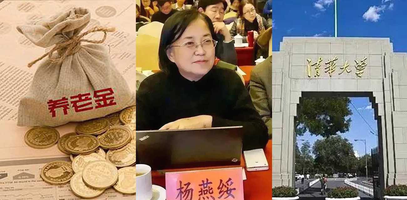 清华大学 杨燕绥 教授建议养老金领取延迟15年，减轻国家的养老资金压力这15年外出打工赚取生活费！